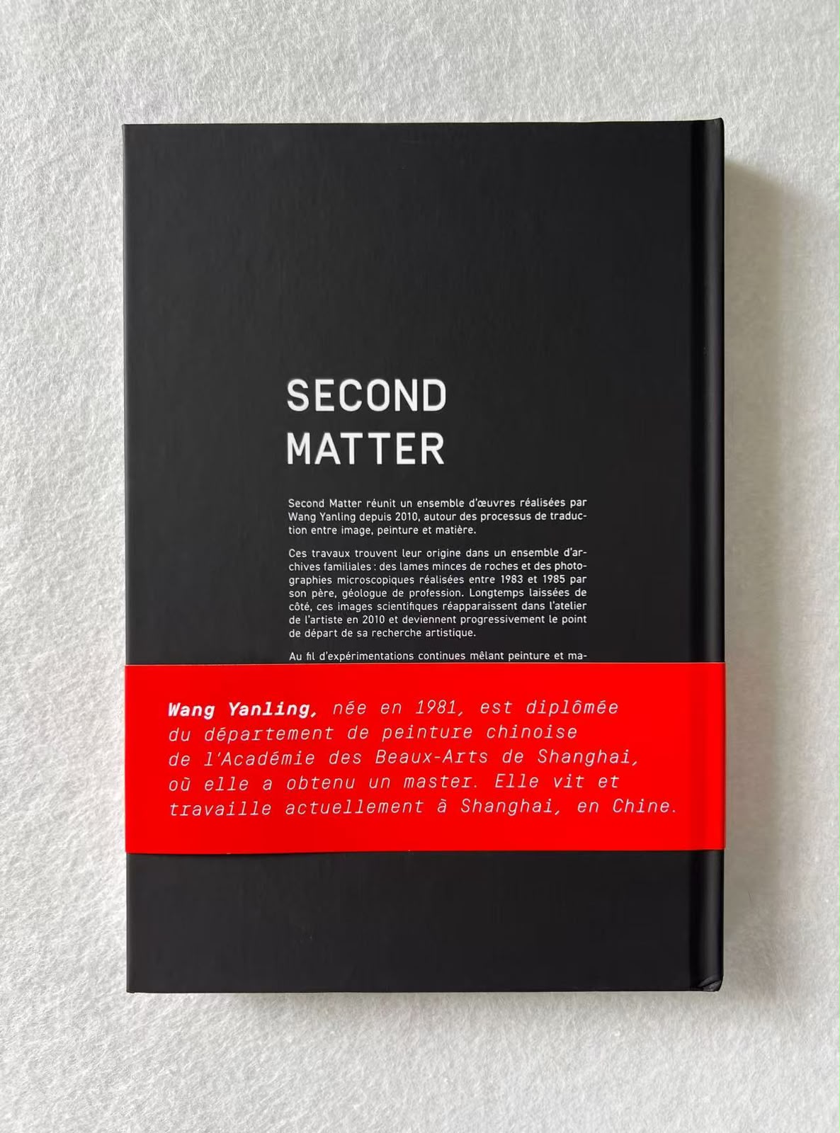 Second Matter - Wang Yanling - Image 6