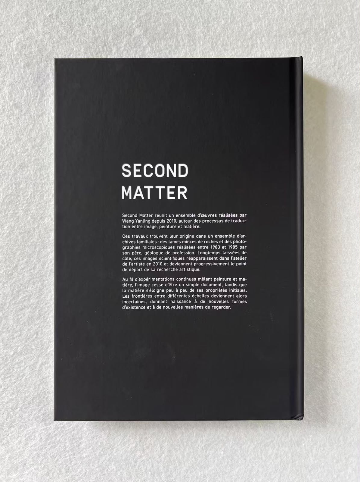 Second Matter - Wang Yanling - Image 4